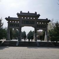 打工的刚哥头像