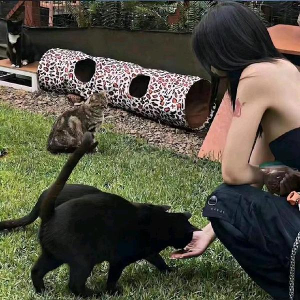 清风里听歌头像