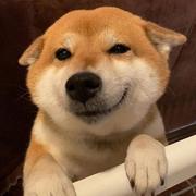 Smile509的个人资料头像