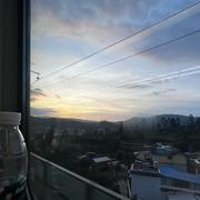 郑花的个人资料头像