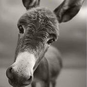 码农老中医的个人资料头像