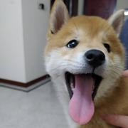 某小远的个人资料头像