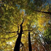 polkmn7的个人资料头像