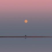 suncat的个人资料头像