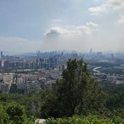 梁yz的个人资料头像