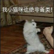 bug_machine的个人资料头像