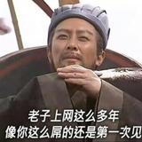 死灵狼骑士头像