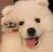 卓怀芋的个人资料头像