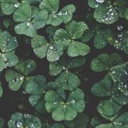 属于我的绽放的个人资料头像