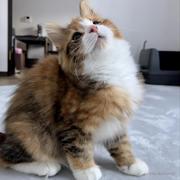 Buuuuuuu的个人资料头像