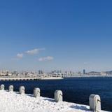 热闹柳叶oj头像
