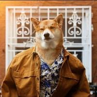铭铭差一点头像