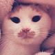 Vivian0417 · 钇为3车主·车龄1年头像