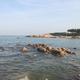 听海观潮315头像