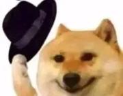 konka的个人资料头像