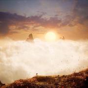 wyj245的个人资料头像