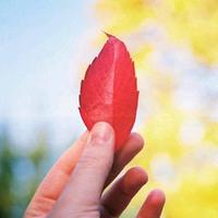 北梦木兮3h9M头像