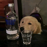 Aaaa景区保安林大爷头像