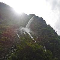 快乐的梦想家gD头像