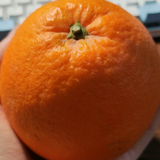 菱朋头像