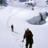 踏雪无痕5899281841511头像