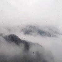 匿名车教授头像