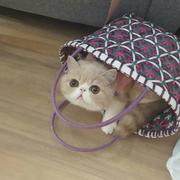 595_的个人资料头像