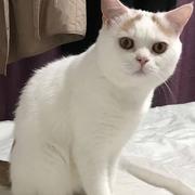 Prodigal915的个人资料头像