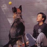 Arthur137的个人资料头像