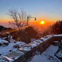 好奇塞西尔0M6头像