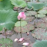 用户9861343211977头像