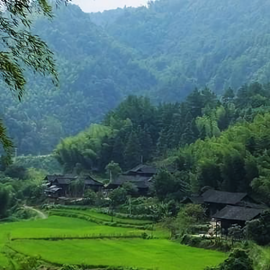 明心观复头像