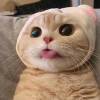 用户5759847373723头像