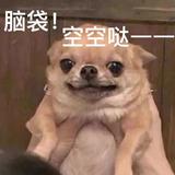白藏33头像