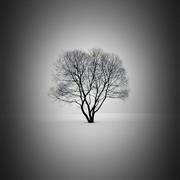 黄吉华的个人资料头像