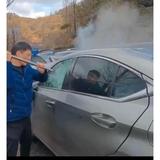 无双菠萝Eo头像