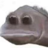 生鲜鳗鱼头像