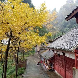 北海好嘢头像