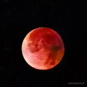 用户82802367142的个人资料头像