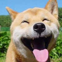 我的世界2873头像