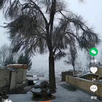 博学多才的清华等你头像