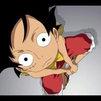 随风已存在头像