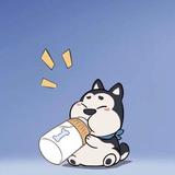 阚头像