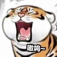 雨落山城l头像