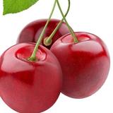 奔驰爱好者64967618头像