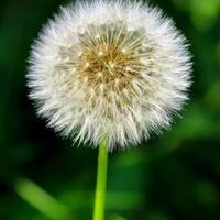 人生路上的骏车头像