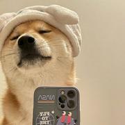 清宝的个人资料头像