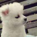 认真的个人资料头像