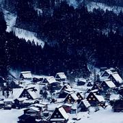 風雪歸我的个人资料头像