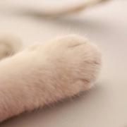 random757的个人资料头像